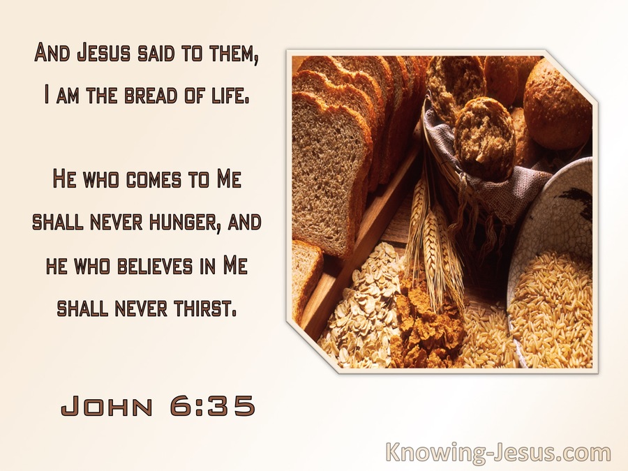John 6:35 Jesus Said I Am The Bread Of Life, He Who Come Will Never Hunger (pink)